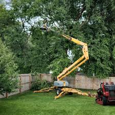 Best Tree Risk Assessment  in Burr Ridge, IL